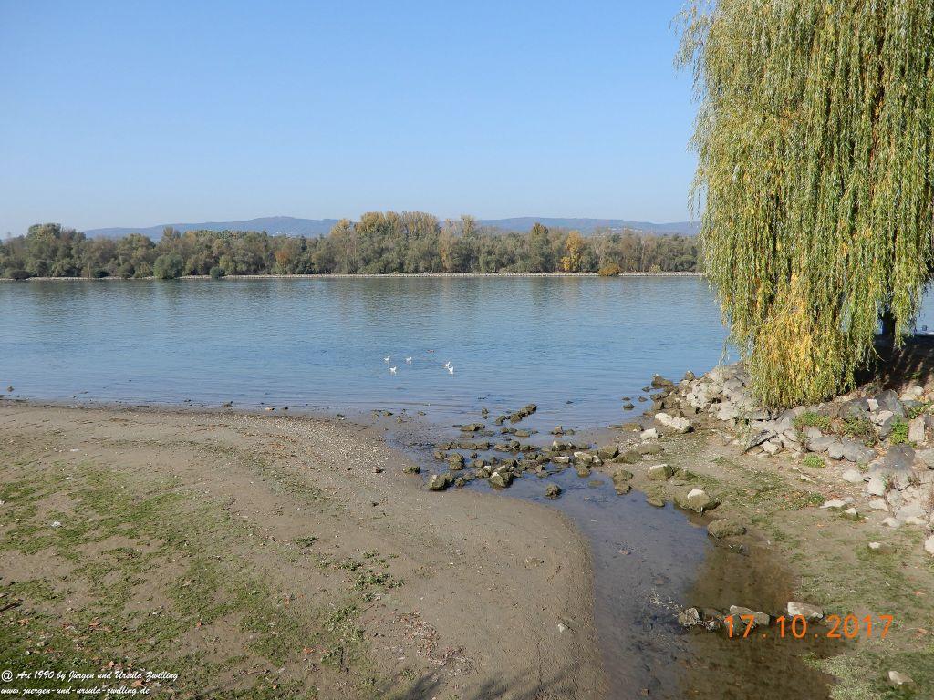 Heidenfahrt - Himmelblau am Rhein - Rheinhessen