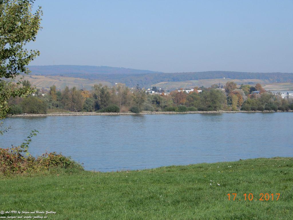 Heidenfahrt - Himmelblau am Rhein - Rheinhessen