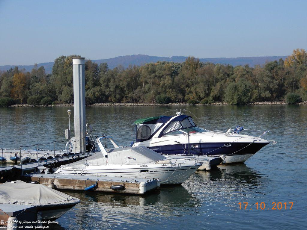 Heidenfahrt - Himmelblau am Rhein - Rheinhessen