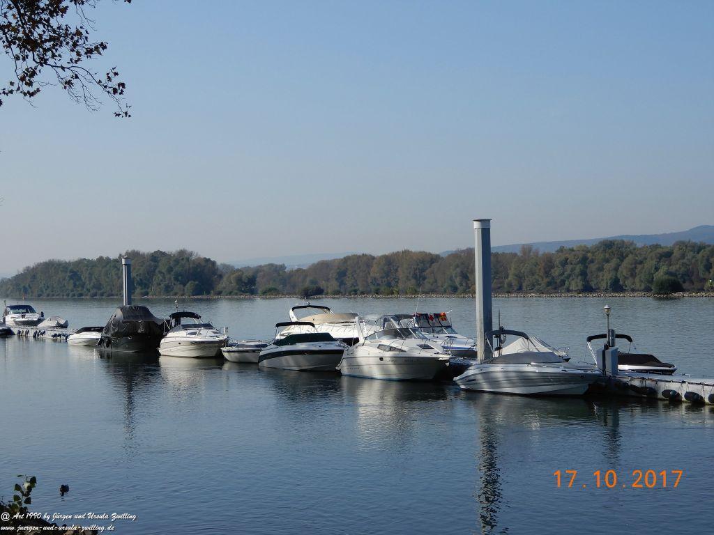 Heidenfahrt - Himmelblau am Rhein - Rheinhessen