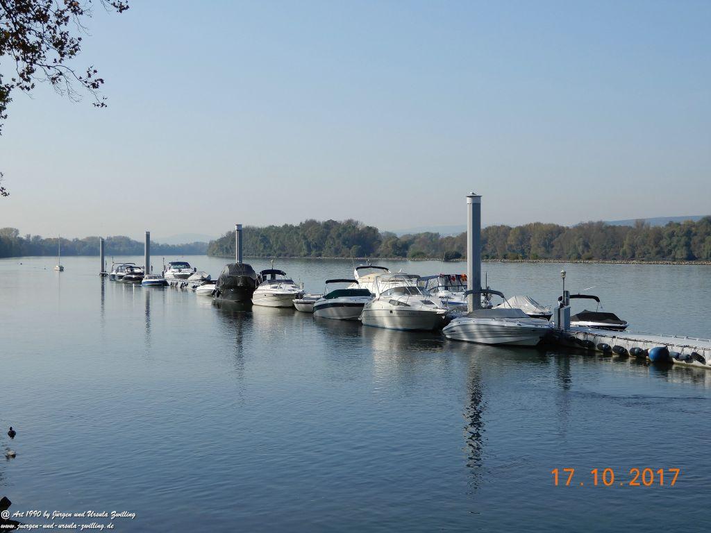 Heidenfahrt - Himmelblau am Rhein - Rheinhessen