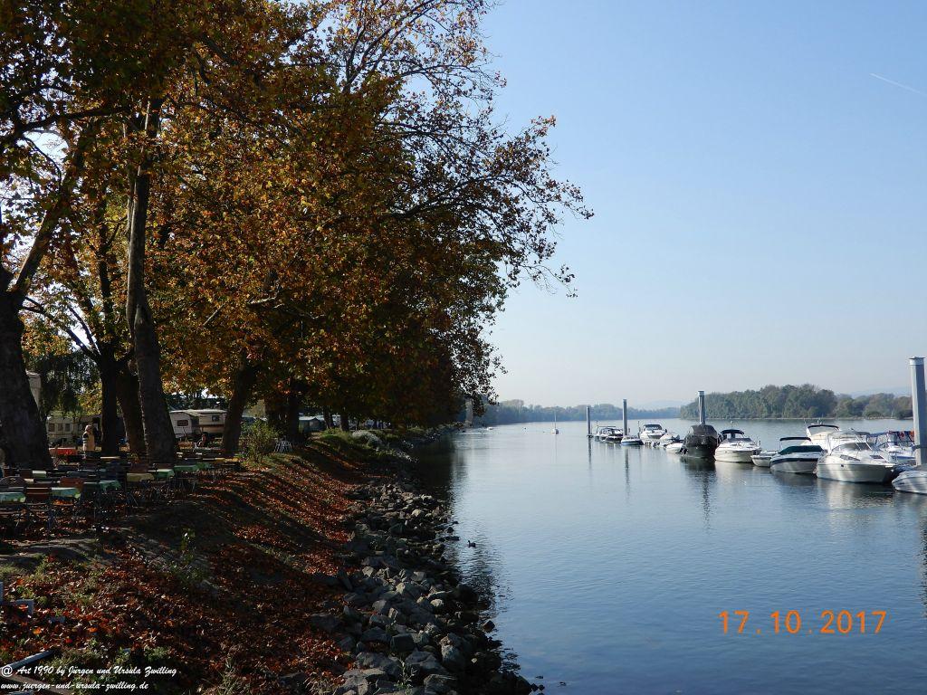 Heidenfahrt - Himmelblau am Rhein - Rheinhessen