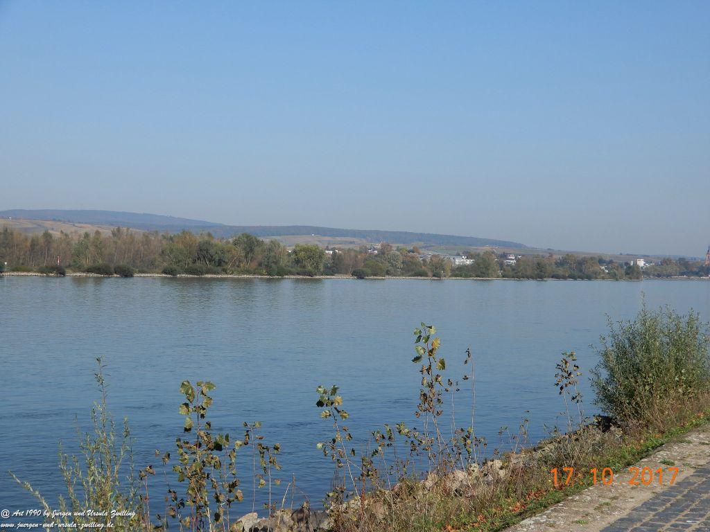 Heidenfahrt - Himmelblau am Rhein - Rheinhessen
