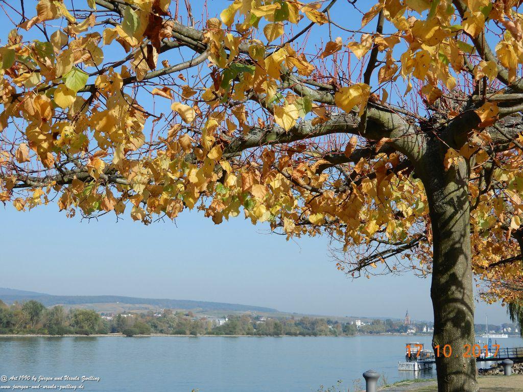 Heidenfahrt - Himmelblau am Rhein - Rheinhessen