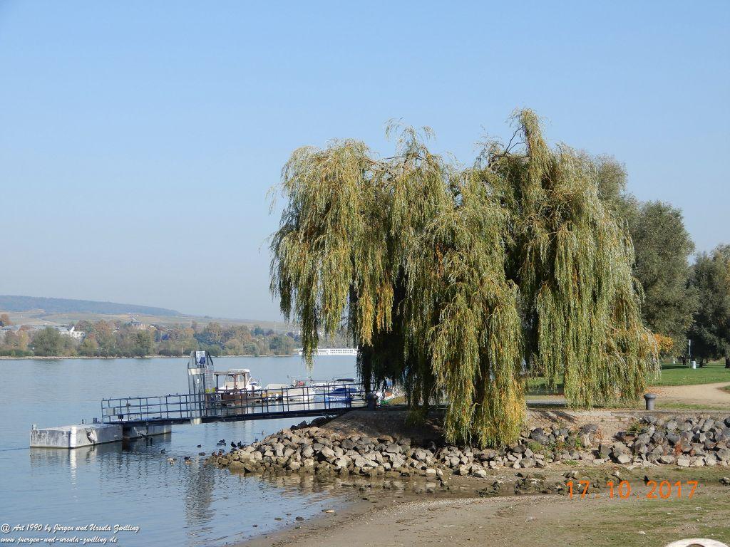 Heidenfahrt - Himmelblau am Rhein - Rheinhessen