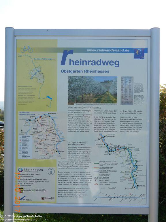 Heidenfahrt - Himmelblau am Rhein - Rheinhessen