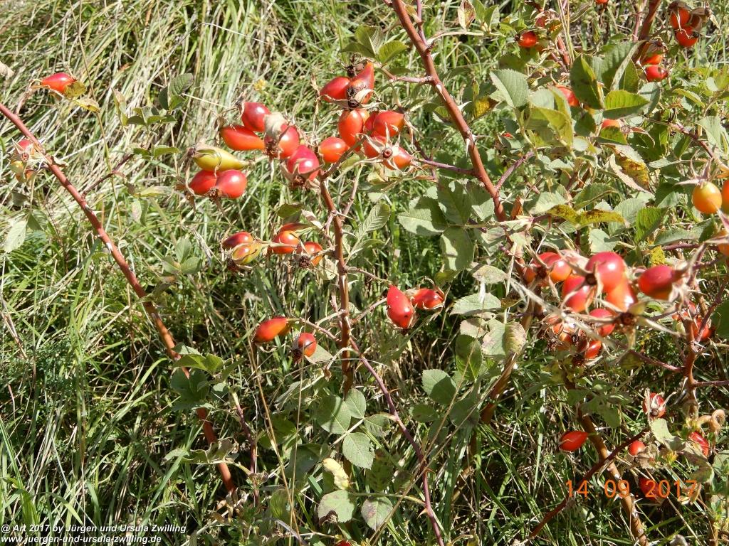Philosophische Bildwanderung Von Nauders über Parditschhof zur Labaunalm -Vinschgau - Österreich