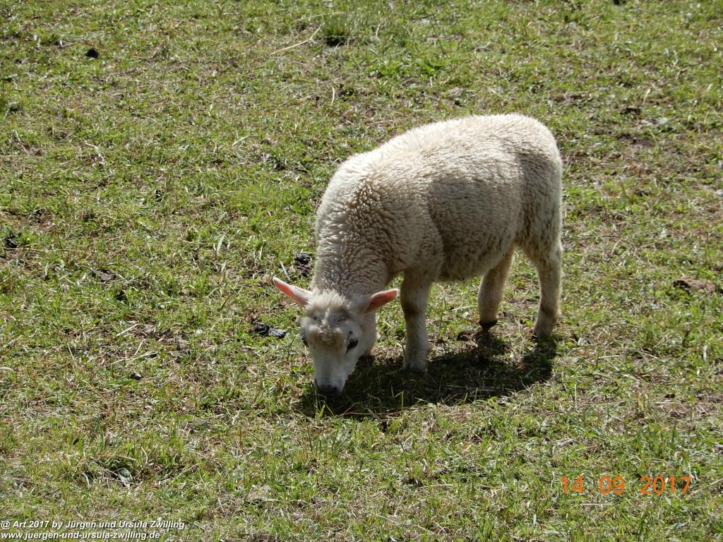 Philosophische Bildwanderung Von Nauders über Parditschhof zur Labaunalm -Vinschgau - Österreich