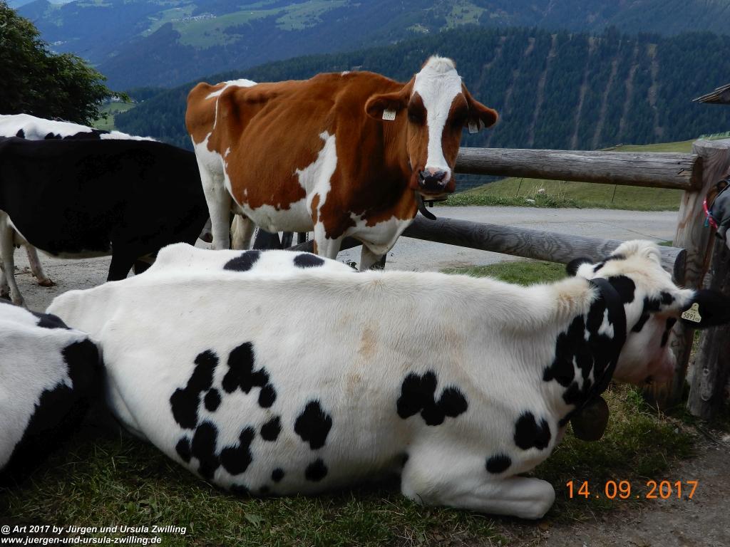 Philosophische Bildwanderung Von Nauders über Parditschhof zur Labaunalm -Vinschgau - Österreich