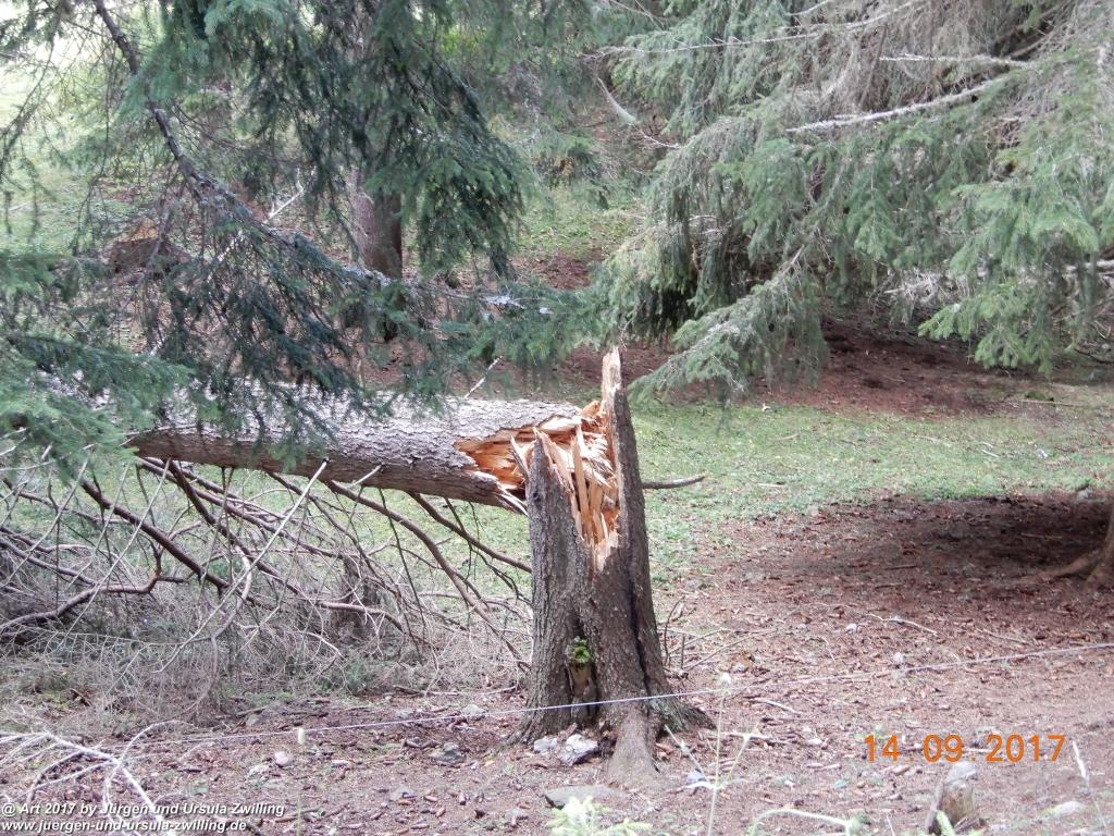 Philosophische Bildwanderung Von Nauders über Parditschhof zur Labaunalm -Vinschgau - Österreich