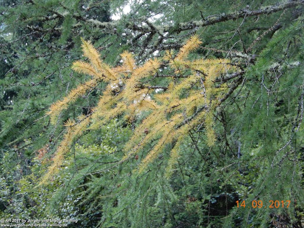 Philosophische Bildwanderung Von Nauders über Parditschhof zur Labaunalm -Vinschgau - Österreich