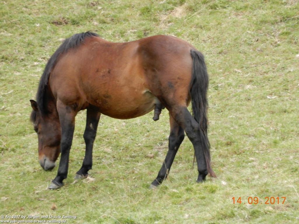 Philosophische Bildwanderung Von Nauders über Parditschhof zur Labaunalm -Vinschgau - Österreich
