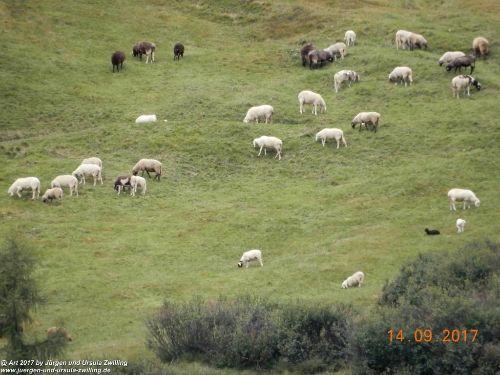 Philosophische Bildwanderung Von Nauders über Parditschhof zur Labaunalm -Vinschgau - Österreich