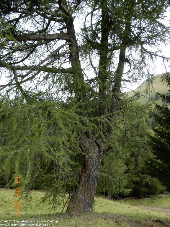 Philosophische Bildwanderung Von Nauders über Parditschhof zur Labaunalm -Vinschgau - Österreich
