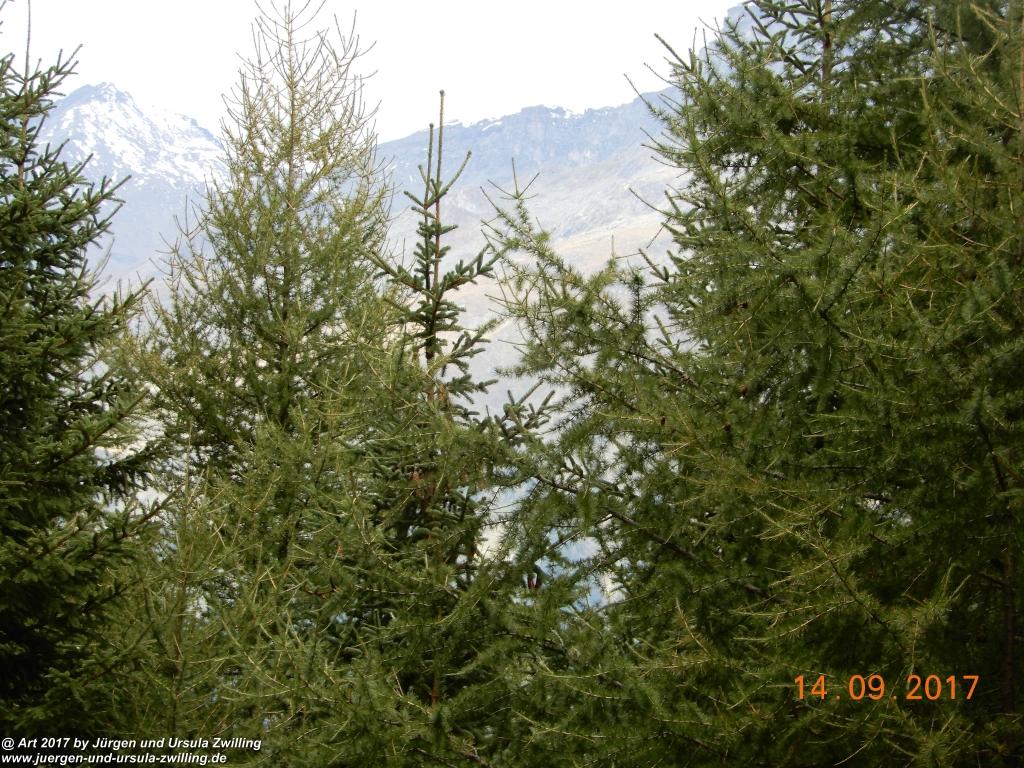 Philosophische Bildwanderung Von Nauders über Parditschhof zur Labaunalm -Vinschgau - Österreich