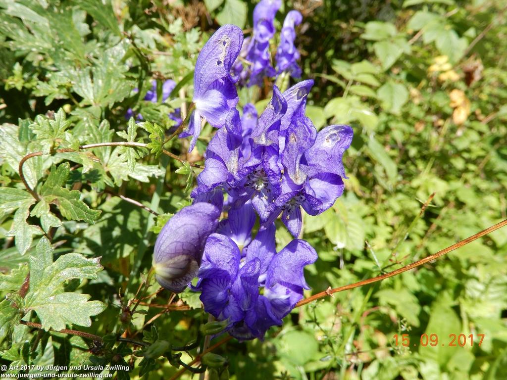 Philosophische Bildwanderung Kaiserschützenweg über die Festung in Nauders - Vinschgau - Österreich