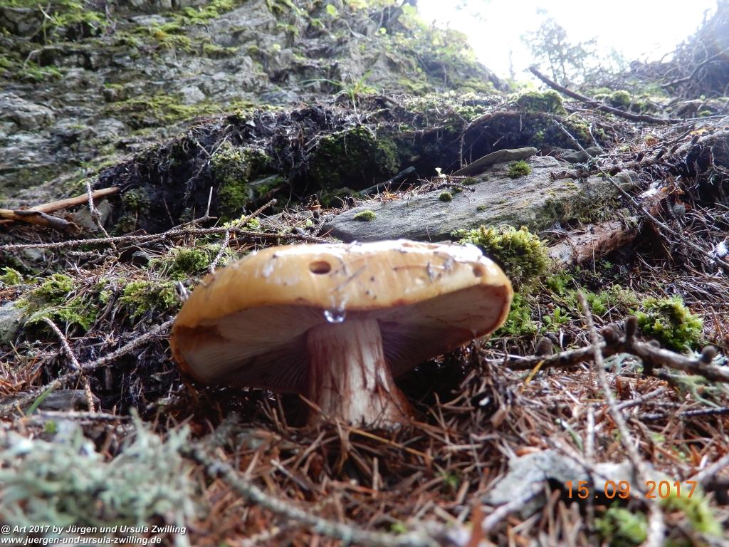 Philosophische Bildwanderung Kaiserschützenweg über die Festung in Nauders - Vinschgau - Österreich