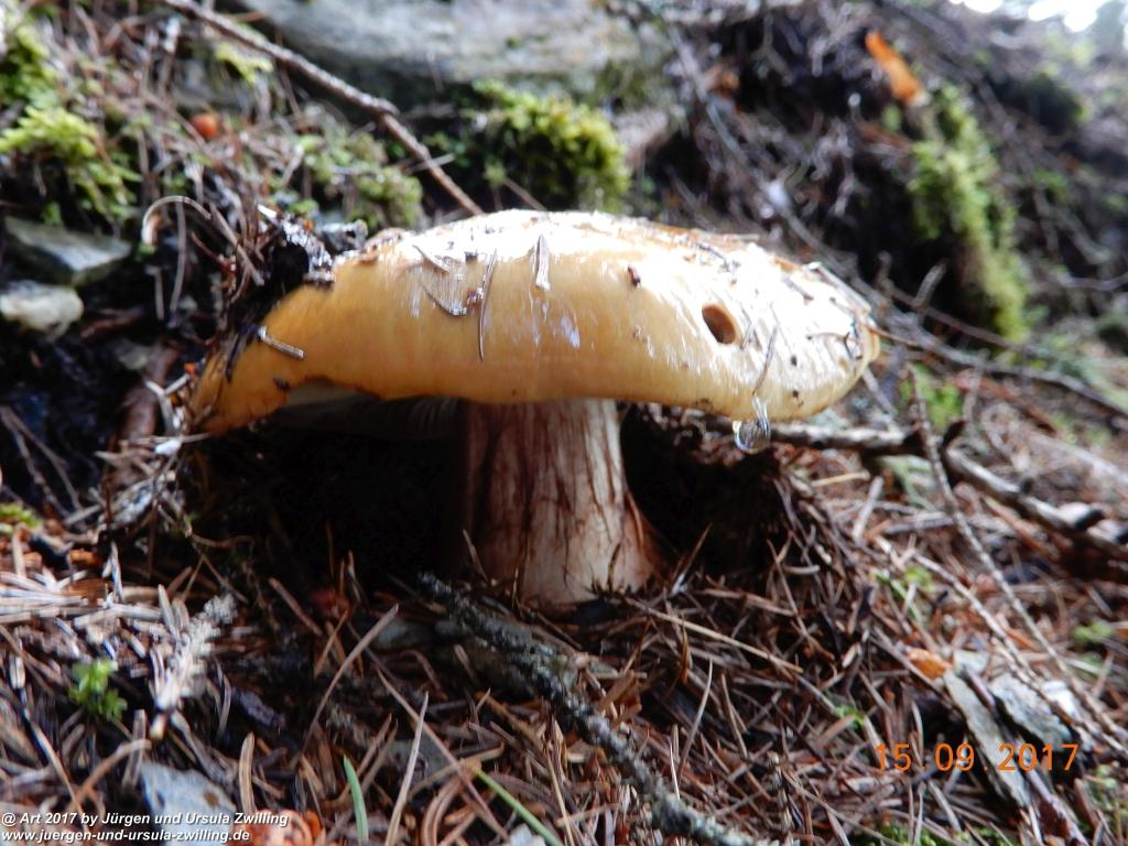 Philosophische Bildwanderung Kaiserschützenweg über die Festung in Nauders - Vinschgau - Österreich