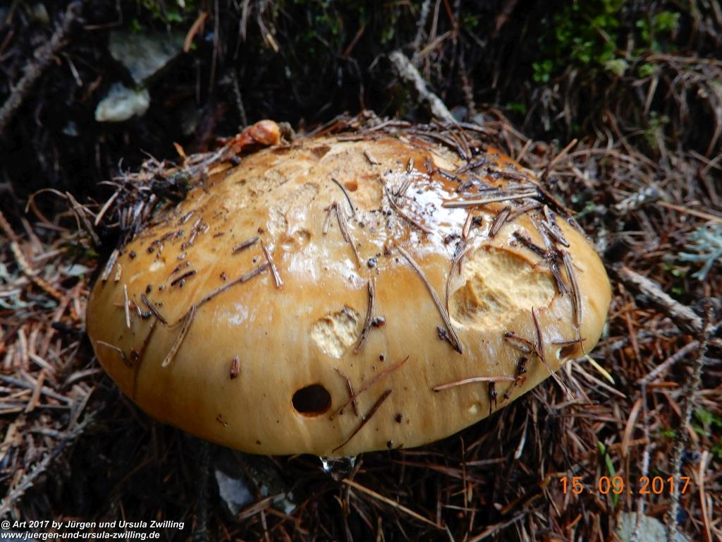 Philosophische Bildwanderung Kaiserschützenweg über die Festung in Nauders - Vinschgau - Österreich
