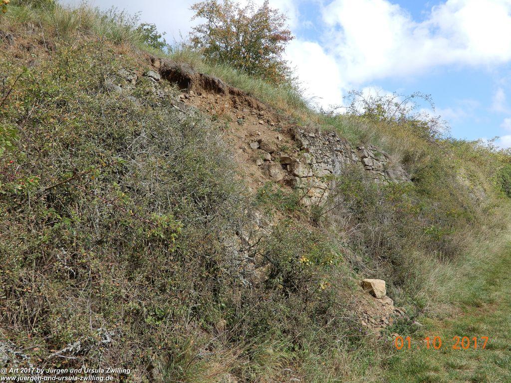 Philosophische Bildwanderung Hiwweltour-Aulheimer-Tal - Rheinhessen