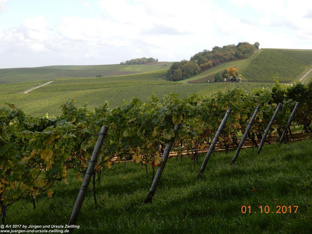 Philosophische Bildwanderung Hiwweltour-Aulheimer-Tal - Rheinhessen