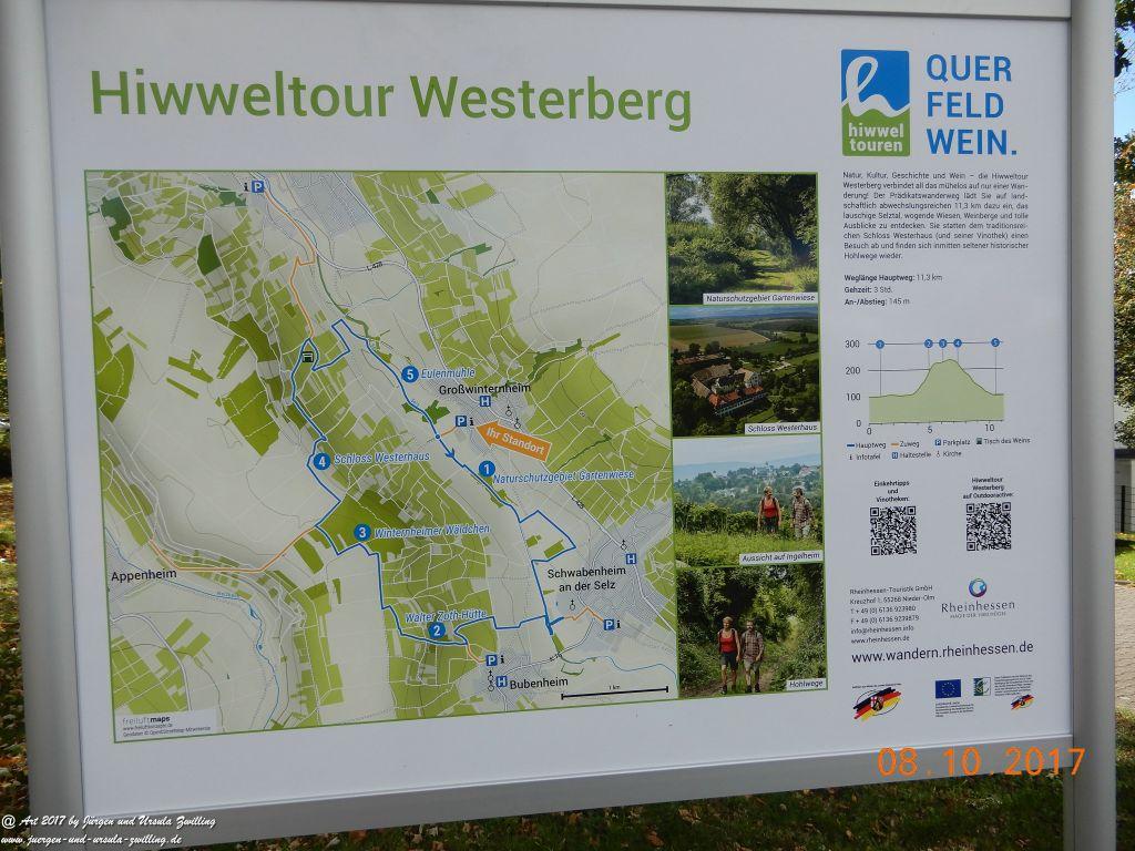 Philosophische Bildwanderung Hiwweltour- Westerberg - Rheinhessen