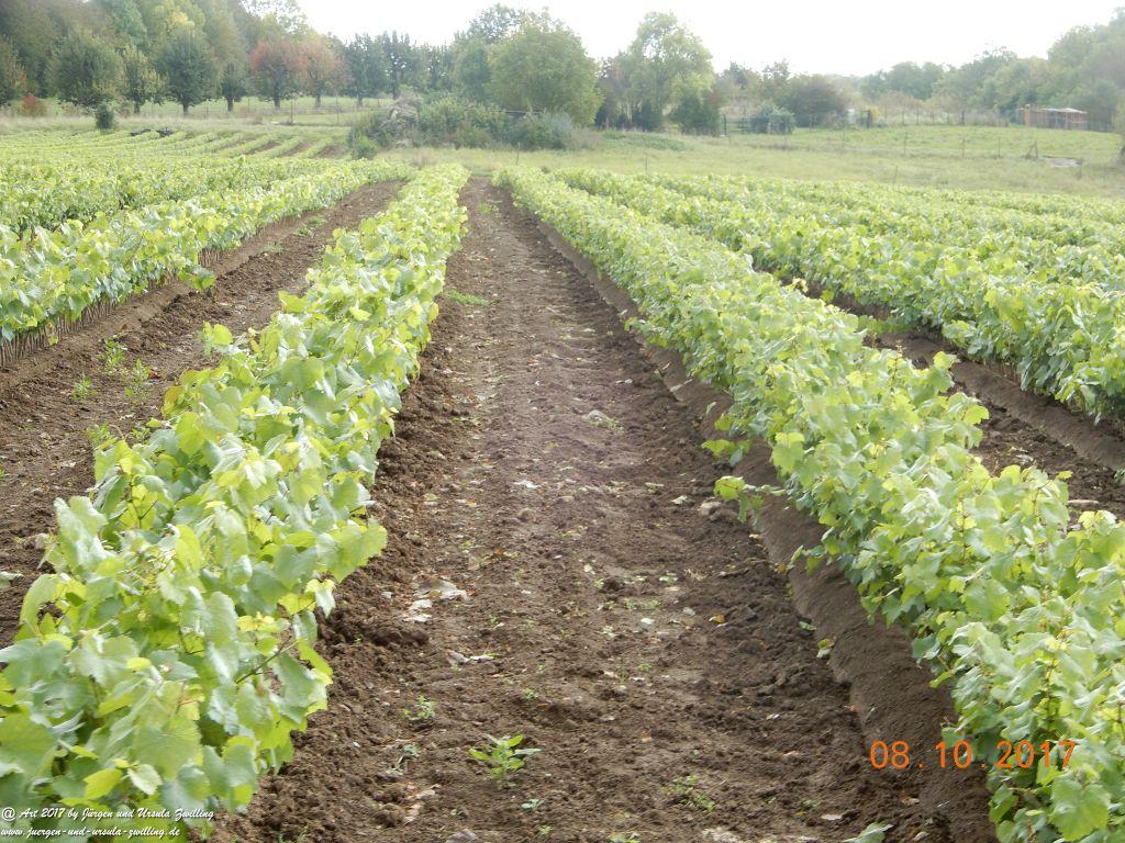 Philosophische Bildwanderung Hiwweltour- Westerberg - Rheinhessen