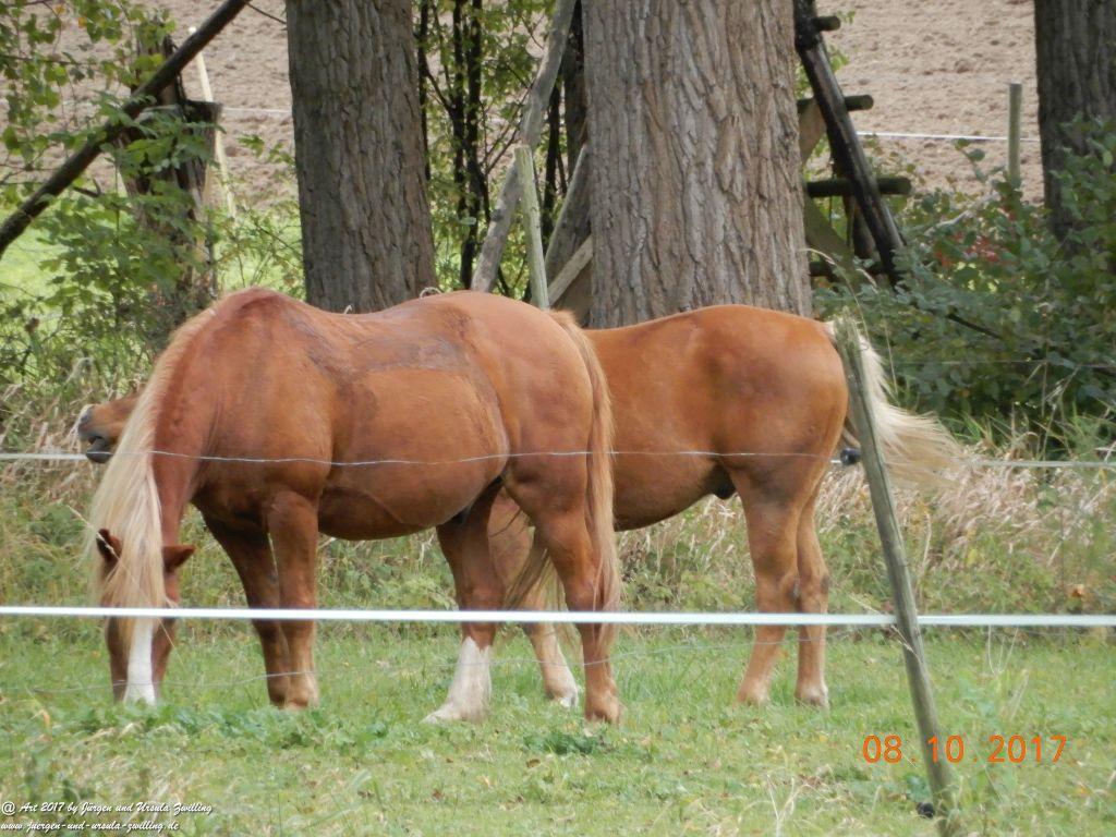 Philosophische Bildwanderung Hiwweltour- Westerberg - Rheinhessen