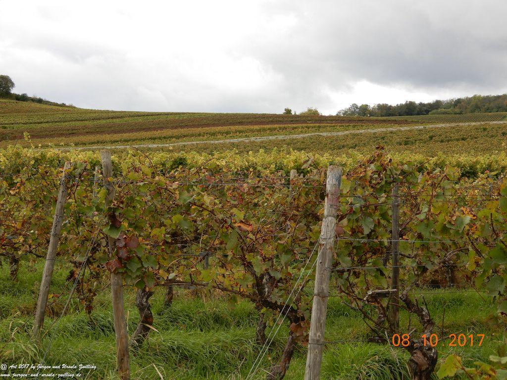 Philosophische Bildwanderung Hiwweltour- Westerberg - Rheinhessen