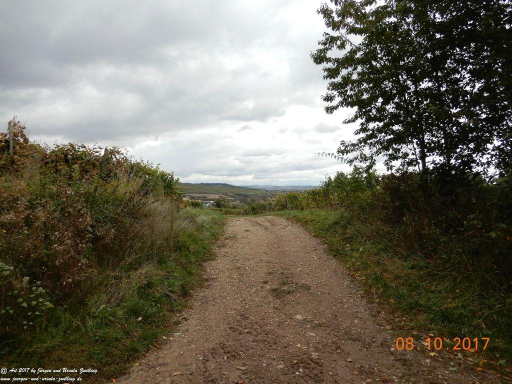 Philosophische Bildwanderung Hiwweltour- Westerberg - Rheinhessen
