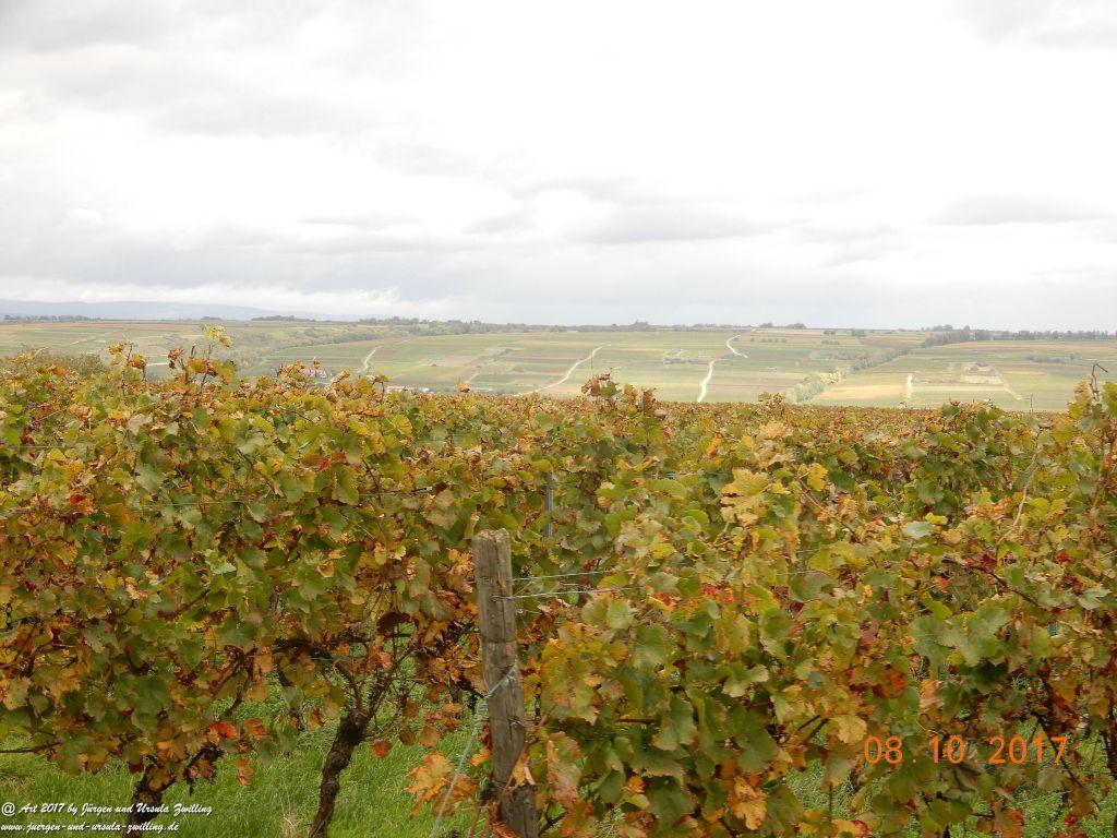 Philosophische Bildwanderung Hiwweltour- Westerberg - Rheinhessen