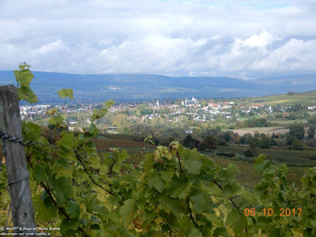 Philosophische Bildwanderung Hiwweltour- Westerberg - Rheinhessen