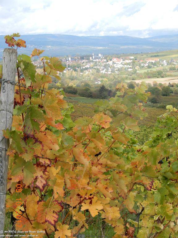 Philosophische Bildwanderung Hiwweltour- Westerberg - Rheinhessen