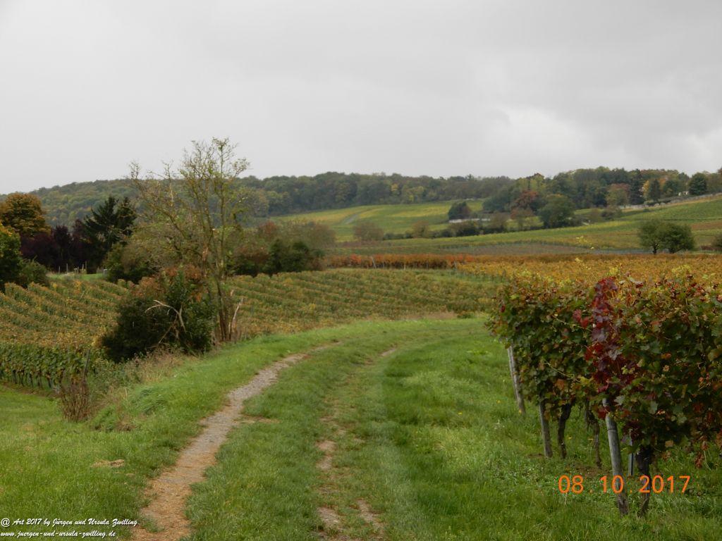 Philosophische Bildwanderung Hiwweltour- Westerberg - Rheinhessen