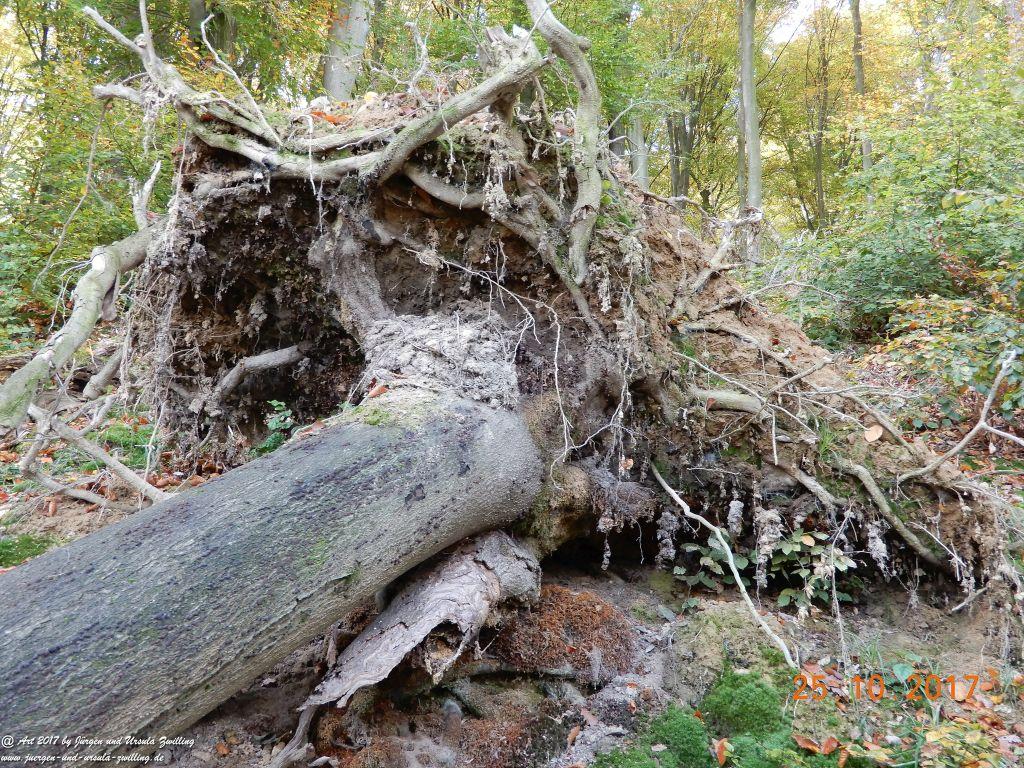 Philosophische Bildwanderung Rheinburgenweg - Trechtingshausen - Burg Reichenstein - Morgenbachtal - Eselspfad - Burg Rheinstein - Schweizerhaus - Trechtingshausen - Hunsrück