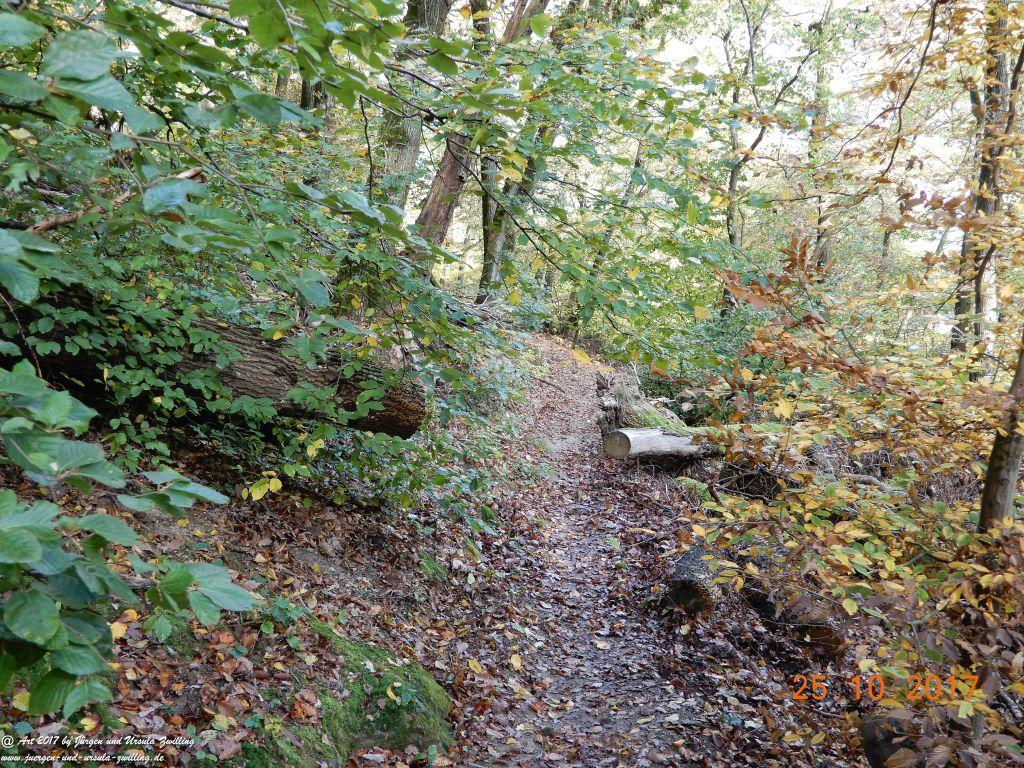 Philosophische Bildwanderung Rheinburgenweg - Trechtingshausen - Burg Reichenstein - Morgenbachtal - Eselspfad - Burg Rheinstein - Schweizerhaus - Trechtingshausen - Hunsrück