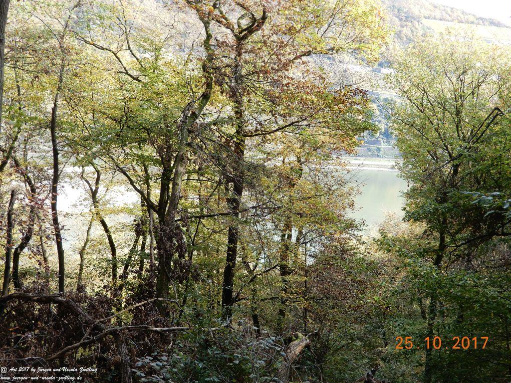 Philosophische Bildwanderung Rheinburgenweg - Trechtingshausen - Burg Reichenstein - Morgenbachtal - Eselspfad - Burg Rheinstein - Schweizerhaus - Trechtingshausen - Hunsrück