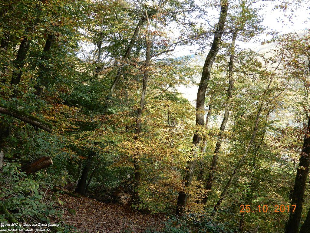 Philosophische Bildwanderung Rheinburgenweg - Trechtingshausen - Burg Reichenstein - Morgenbachtal - Eselspfad - Burg Rheinstein - Schweizerhaus - Trechtingshausen - Hunsrück