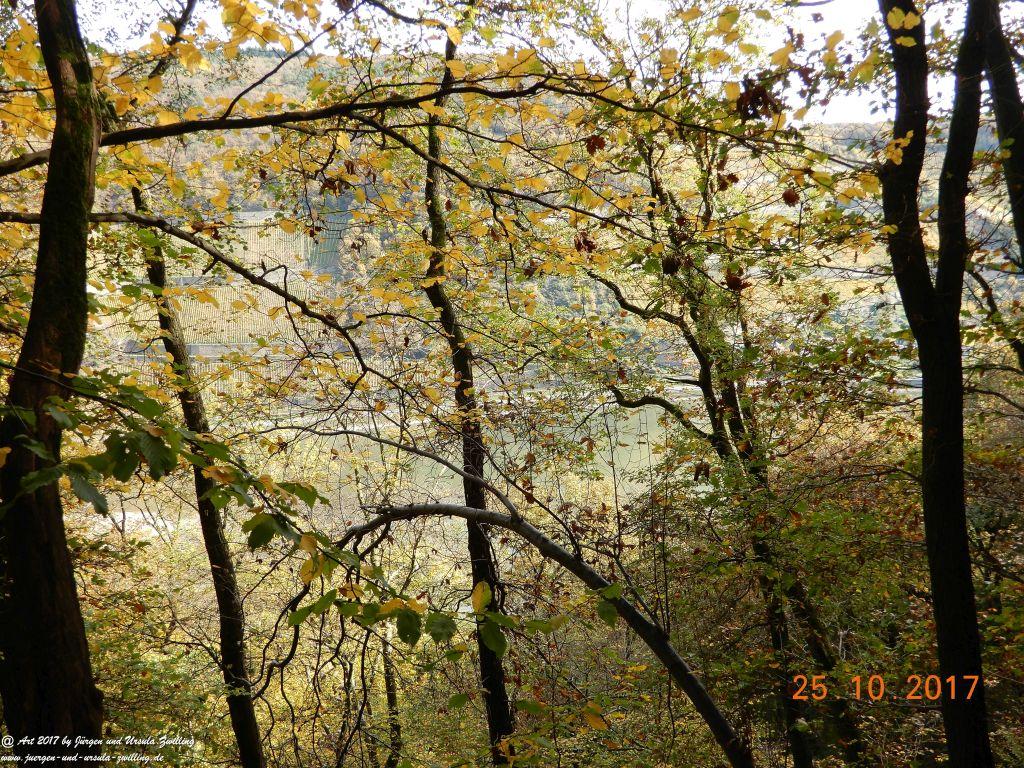 Philosophische Bildwanderung Rheinburgenweg - Trechtingshausen - Burg Reichenstein - Morgenbachtal - Eselspfad - Burg Rheinstein - Schweizerhaus - Trechtingshausen - Hunsrück