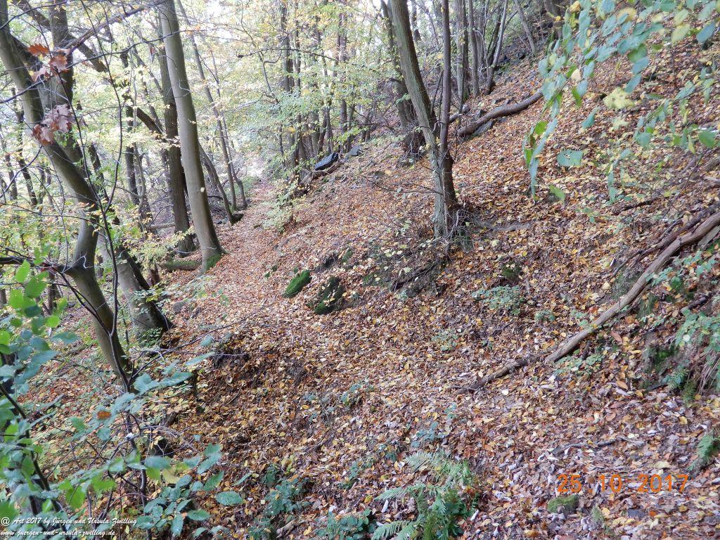 Philosophische Bildwanderung Rheinburgenweg - Trechtingshausen - Burg Reichenstein - Morgenbachtal - Eselspfad - Burg Rheinstein - Schweizerhaus - Trechtingshausen - Hunsrück