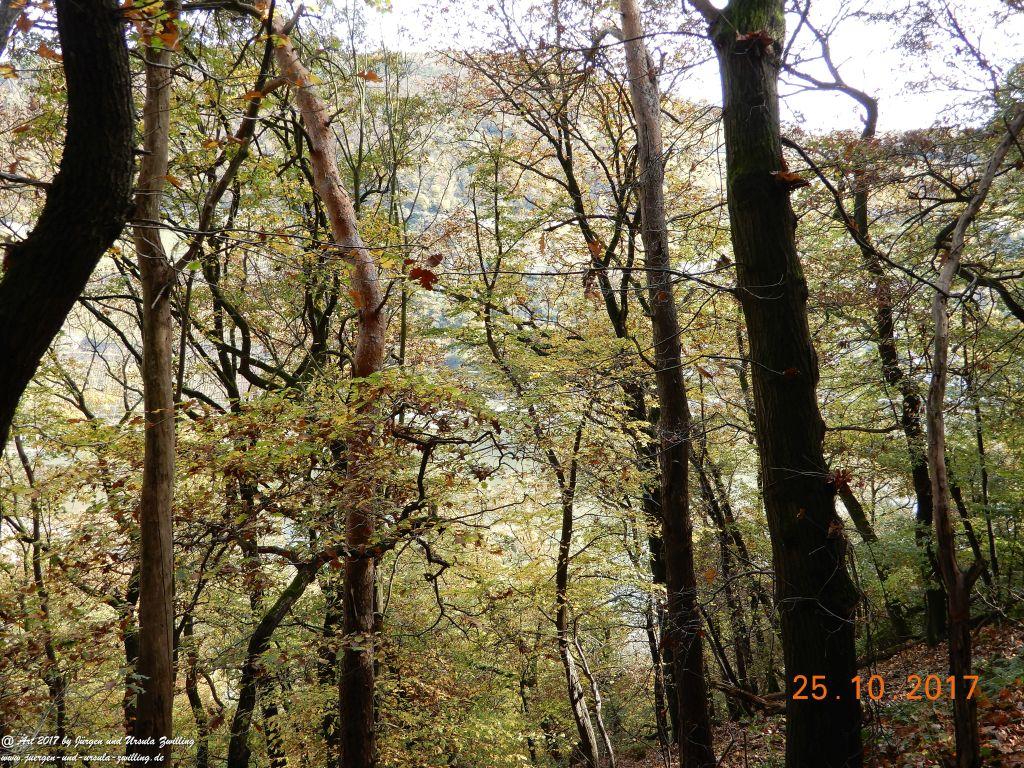 Philosophische Bildwanderung Rheinburgenweg - Trechtingshausen - Burg Reichenstein - Morgenbachtal - Eselspfad - Burg Rheinstein - Schweizerhaus - Trechtingshausen - Hunsrück