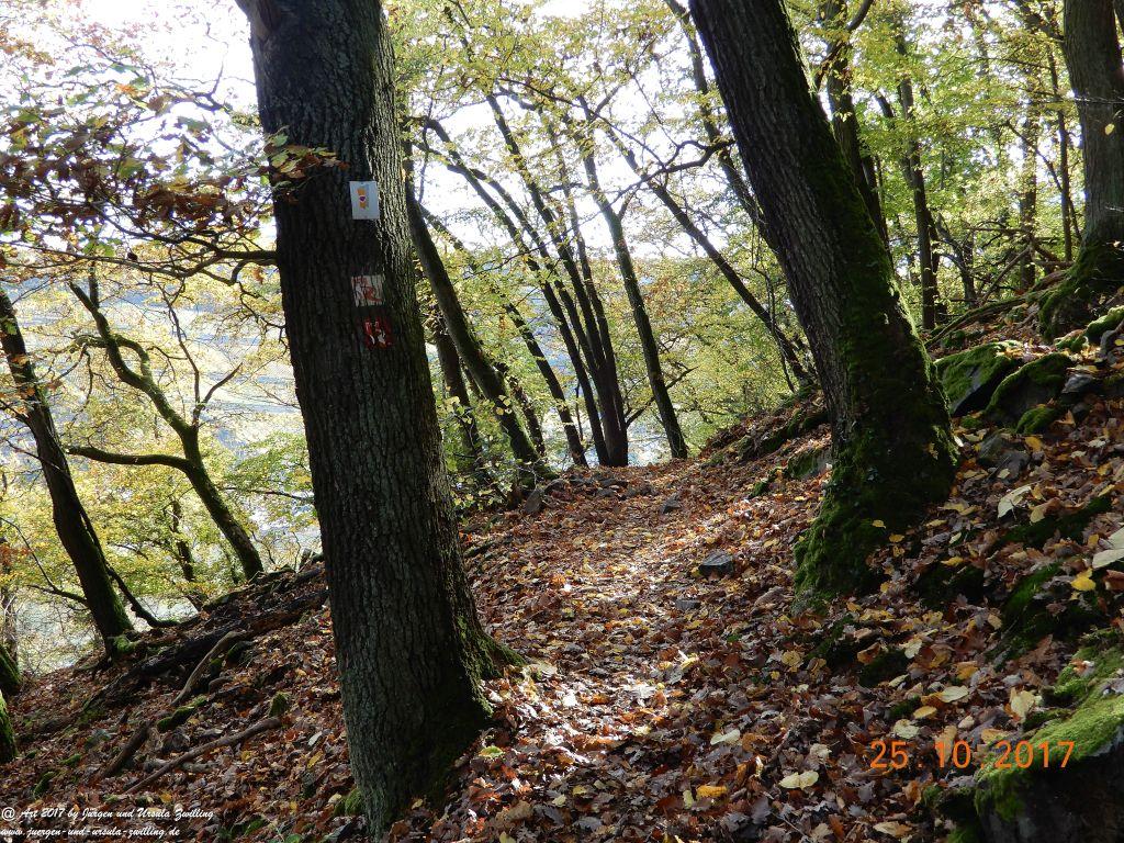 Philosophische Bildwanderung Rheinburgenweg - Trechtingshausen - Burg Reichenstein - Morgenbachtal - Eselspfad - Burg Rheinstein - Schweizerhaus - Trechtingshausen - Hunsrück