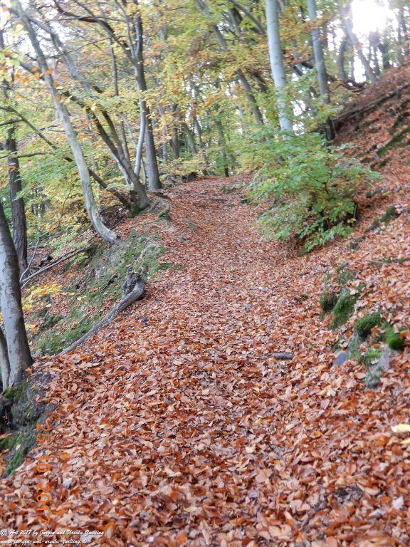 Philosophische Bildwanderung Rheinburgenweg - Trechtingshausen - Burg Reichenstein - Morgenbachtal - Eselspfad - Burg Rheinstein - Schweizerhaus - Trechtingshausen - Hunsrück