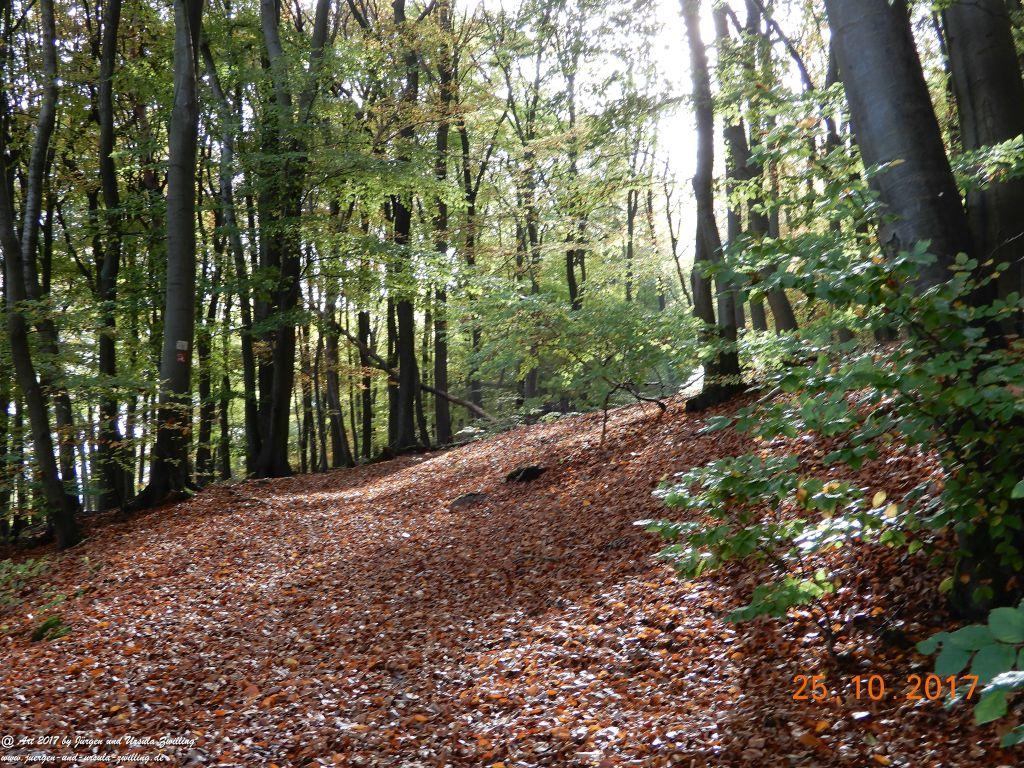 Philosophische Bildwanderung Rheinburgenweg - Trechtingshausen - Burg Reichenstein  - Morgenbachtal - Eselspfad  - Burg Rheinstein - Schweizerhaus - Trechtingshausen - Hunsrück