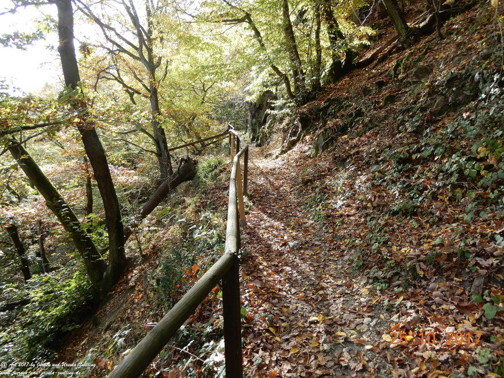 Philosophische Bildwanderung Rheinburgenweg - Trechtingshausen - Burg Reichenstein  - Morgenbachtal - Eselspfad  - Burg Rheinstein - Schweizerhaus - Trechtingshausen - Hunsrück