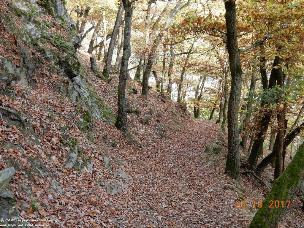 Philosophische Bildwanderung Rheinburgenweg - Trechtingshausen - Burg Reichenstein  - Morgenbachtal - Eselspfad  - Burg Rheinstein - Schweizerhaus - Trechtingshausen - Hunsrück