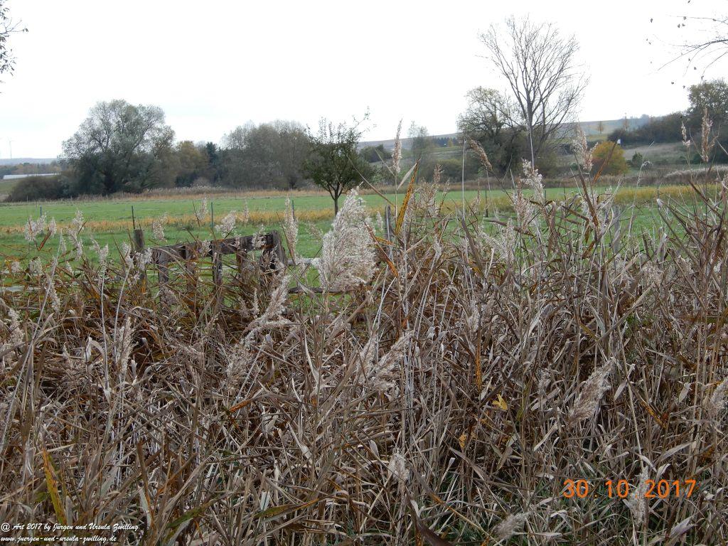 Philosophische Bildwanderung Hiwweltour-Stadecker-Warte - Rheinhessen