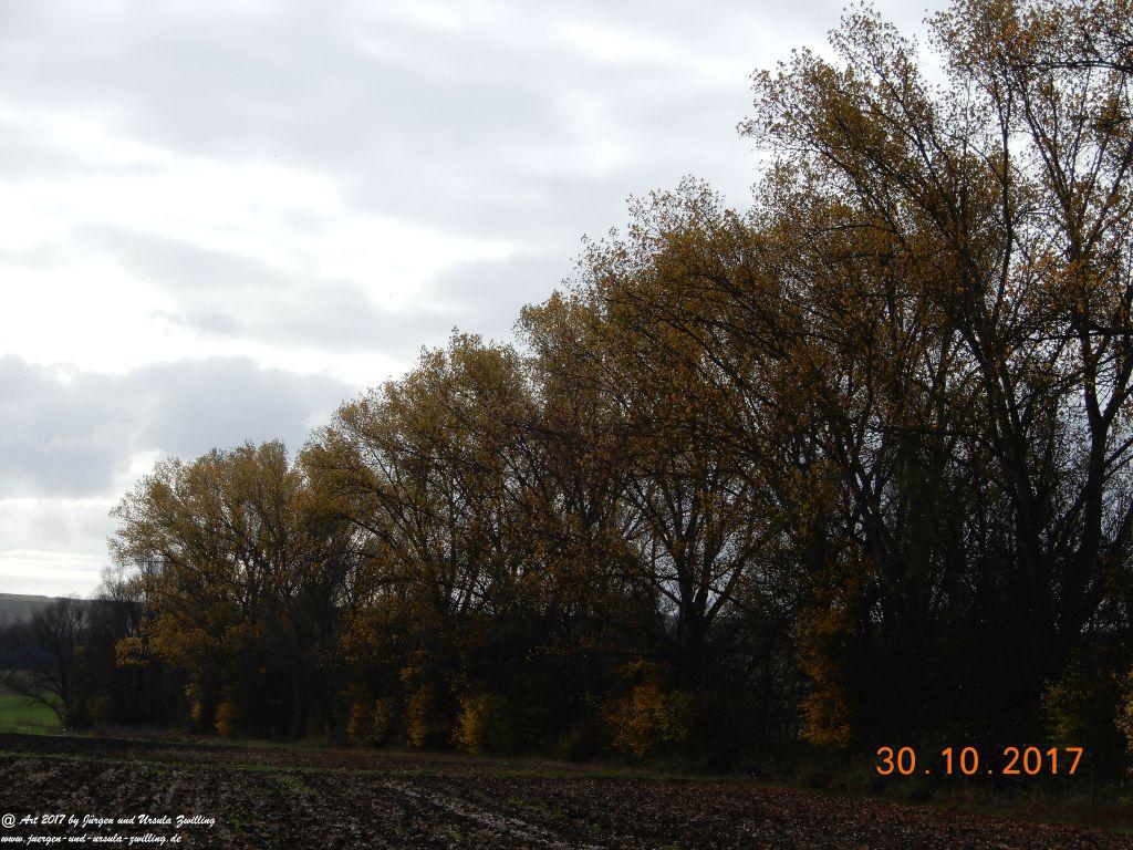 Philosophische Bildwanderung Hiwweltour-Stadecker-Warte - Rheinhessen