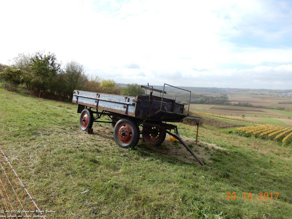 Philosophische Bildwanderung Hiwweltour-Stadecker-Warte - Rheinhessen