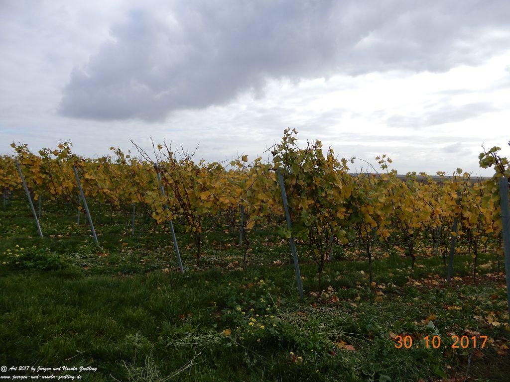 Philosophische Bildwanderung Hiwweltour-Stadecker-Warte - Rheinhessen